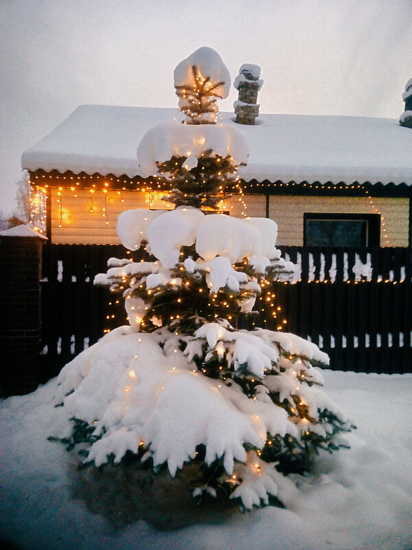 Возле дома - Сергей Кочнев