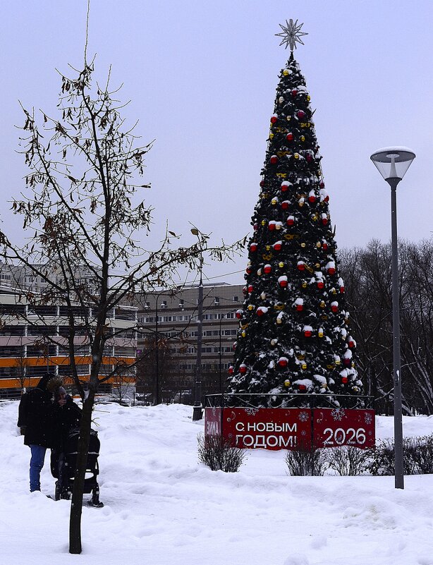 Счастья им. - Василий Палий