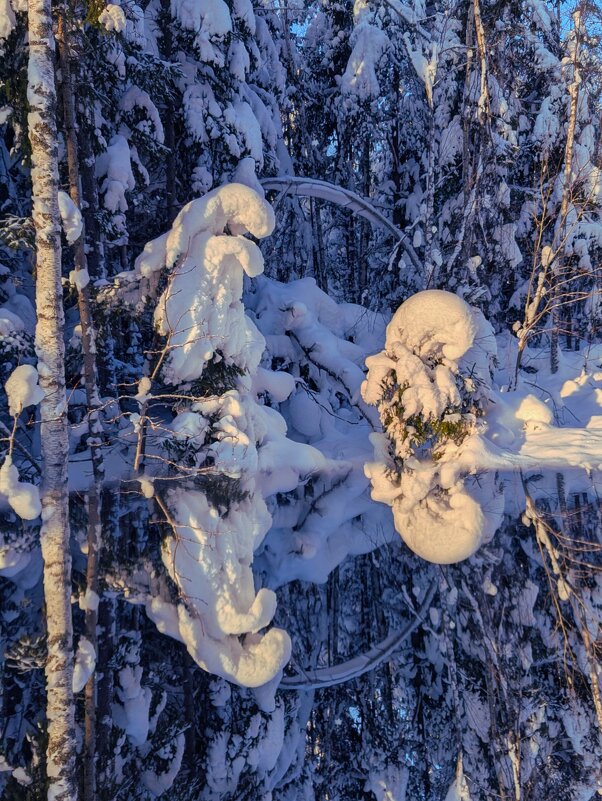 В страане Зазеркалья - liudmila drake В страане Зазеркалья - liudmila drake