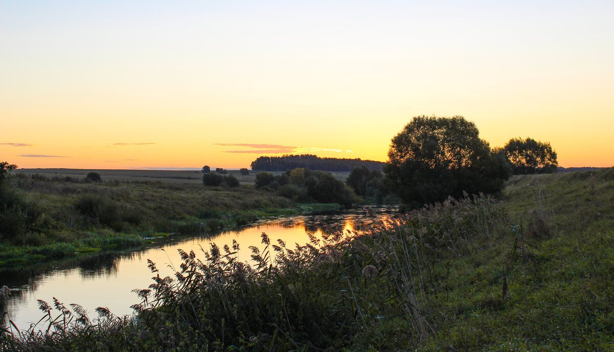 Закат - Александр. AVG100 ---