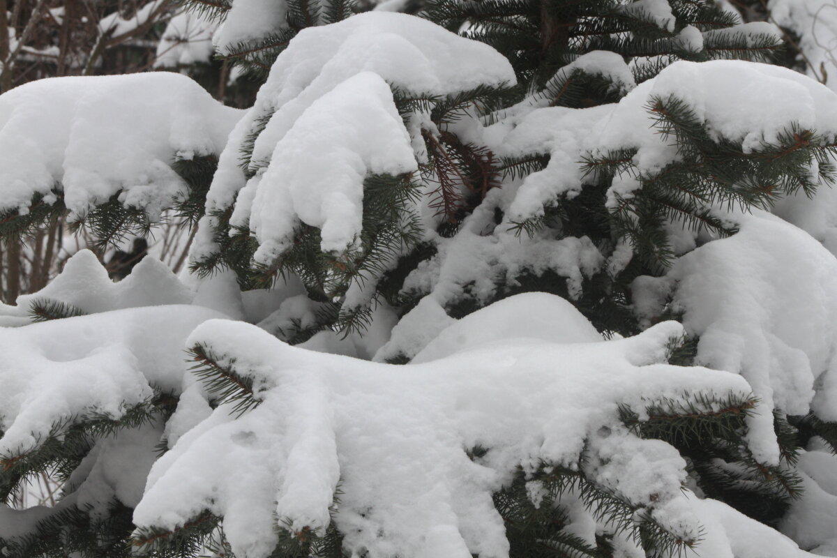 Баллада о Снеге - олег свирский 