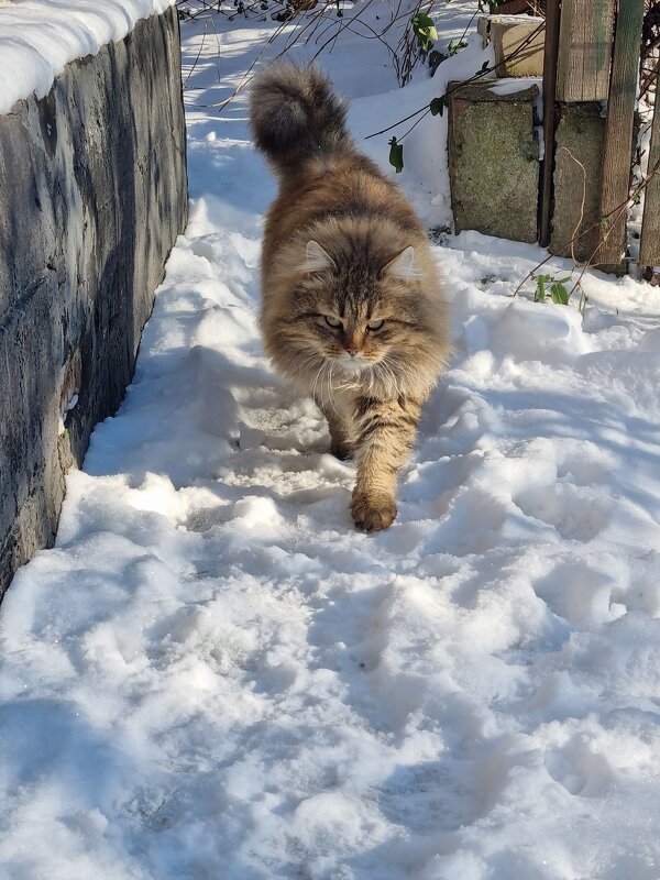 Иду к тебе! - Наталья 