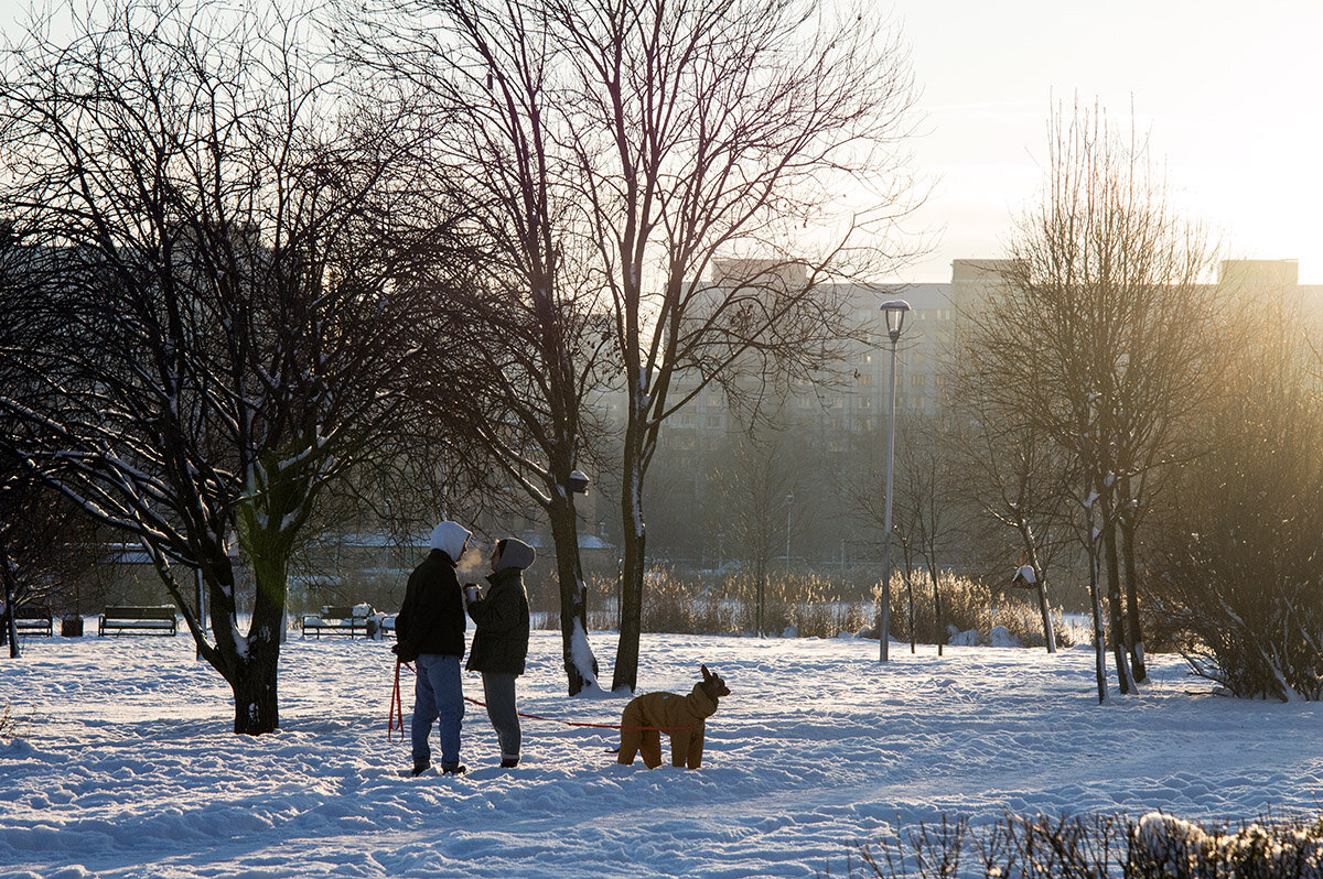 Зимняя зарисовка - VL Зимняя зарисовка - VL