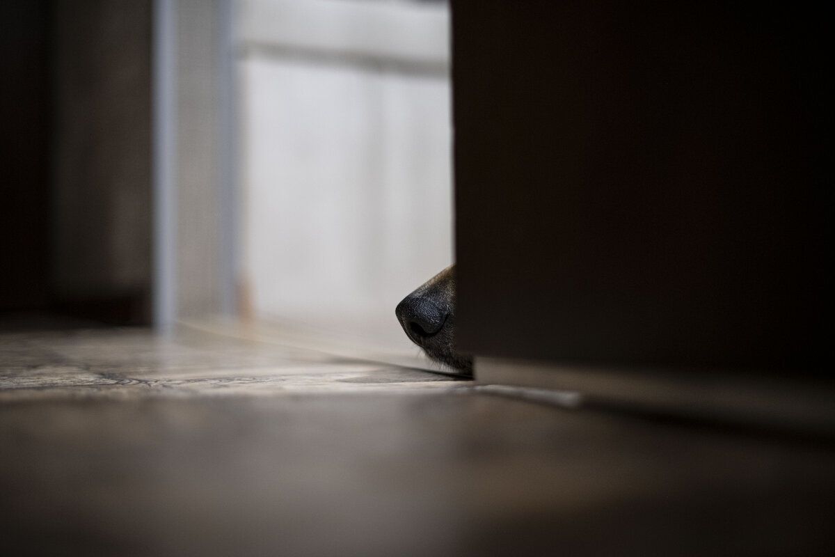 Глафира Великолепная) - Алла Федосеева