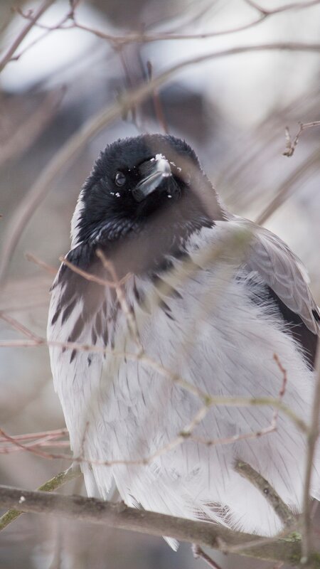 Что такое - Алексей Булак