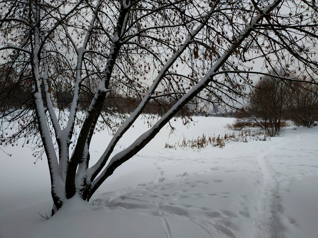 Сезон нецветной фотографии в разгаре - Андрей Лукьянов