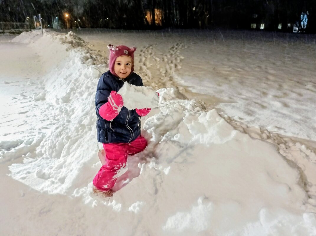 Зимние радости - Veera V