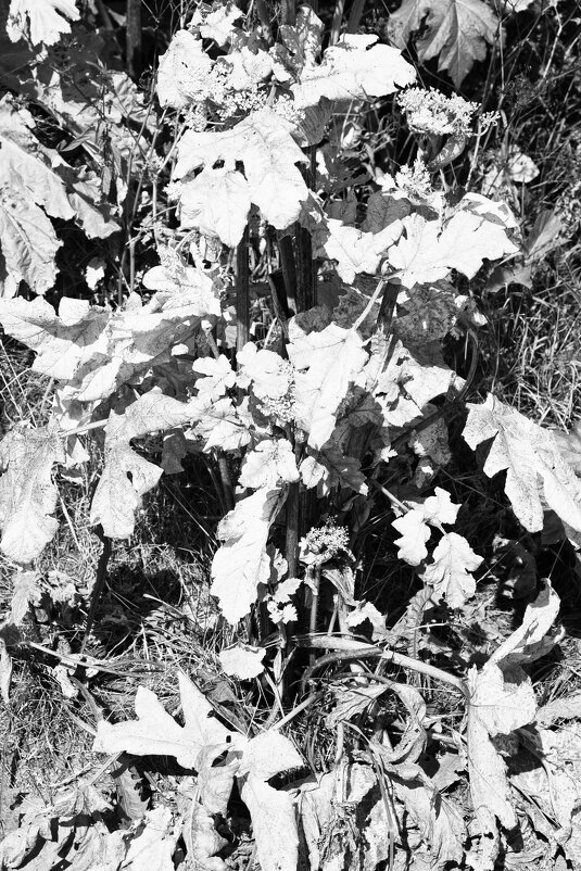 Фотография - Денис Безногов