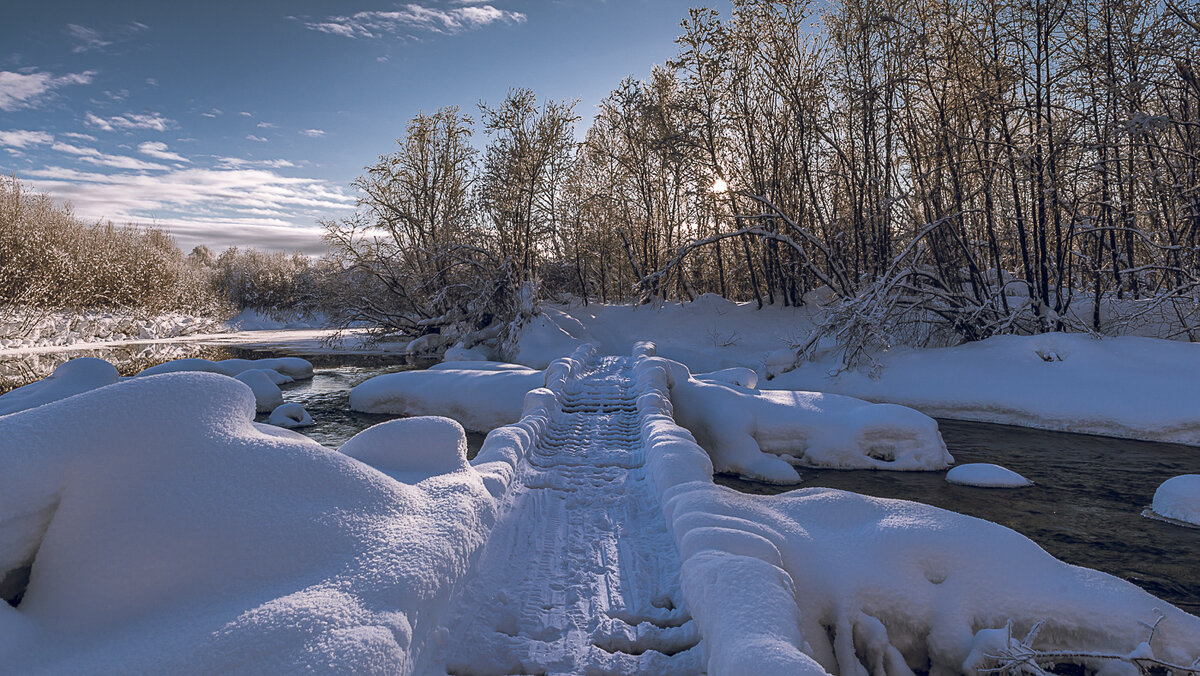 ... - Жора Житников ... - Жора Житников