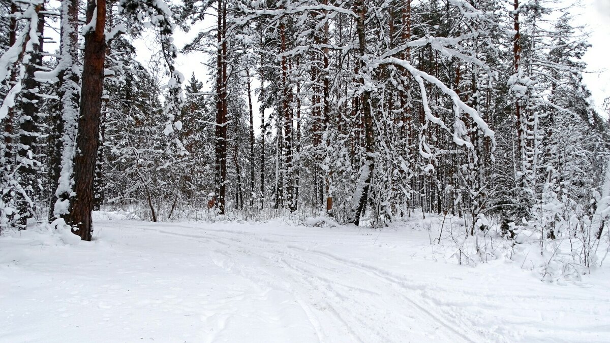 Моя Смоленщина - Милешкин Владимир Алексеевич 