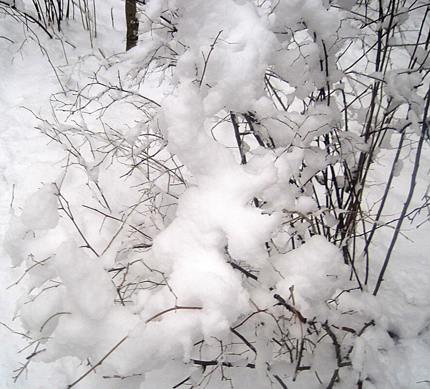 Снежные фигуры - Елена Семигина