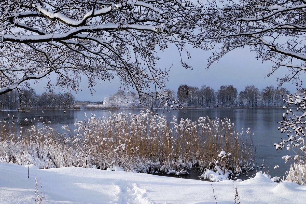 В окрестностях Калининграда - Рита Симонова