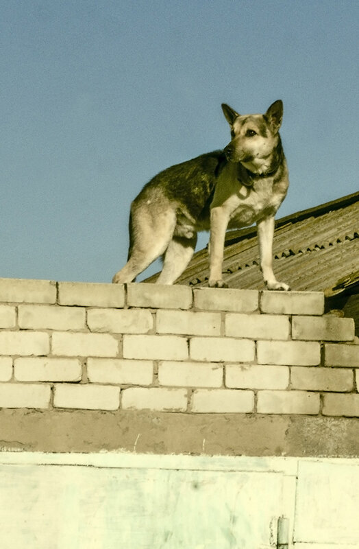 На посту - Петр Фролов