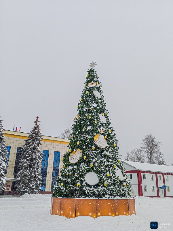Городская елка - Юлия Денискина