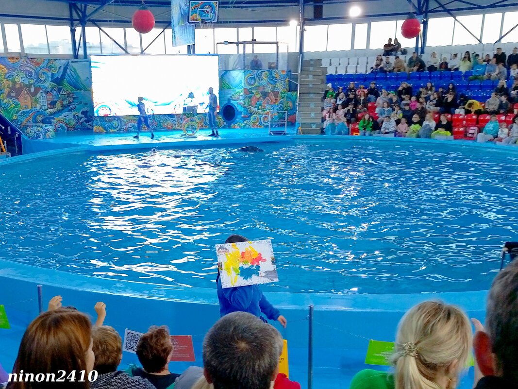 Адлер. Сочи Парк... Шоу дельфинов... - Нина Бутко