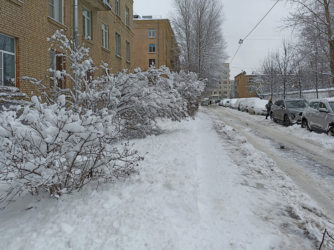 Зимняя, городская зарисовка. - Лилия *
