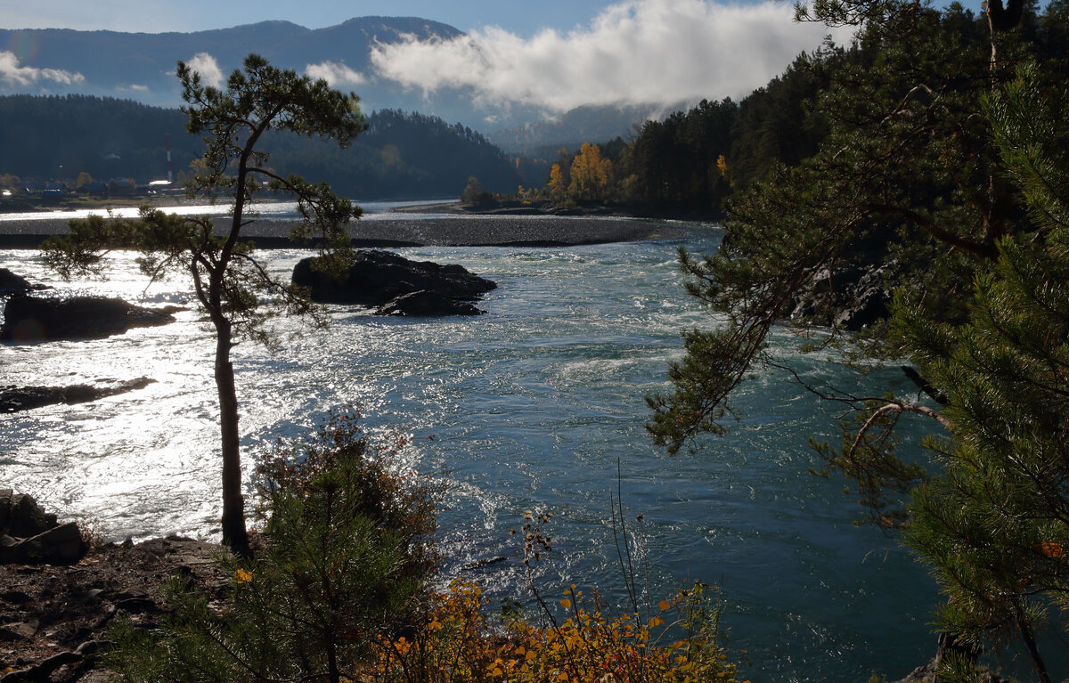 ***** - владимир 