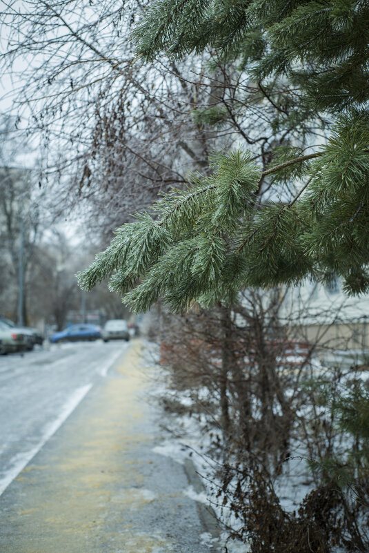 Зима - Тамара Федорова