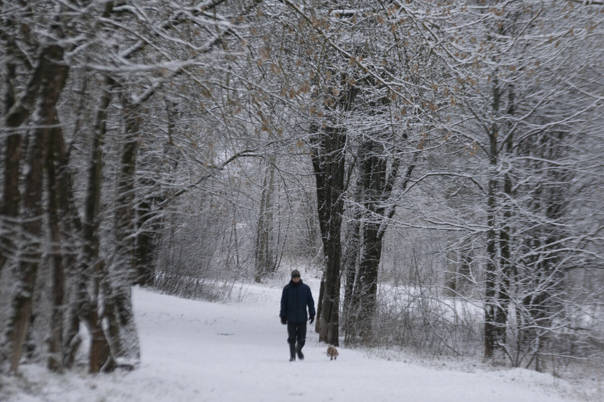 Парк в снегу - Александр Буторин