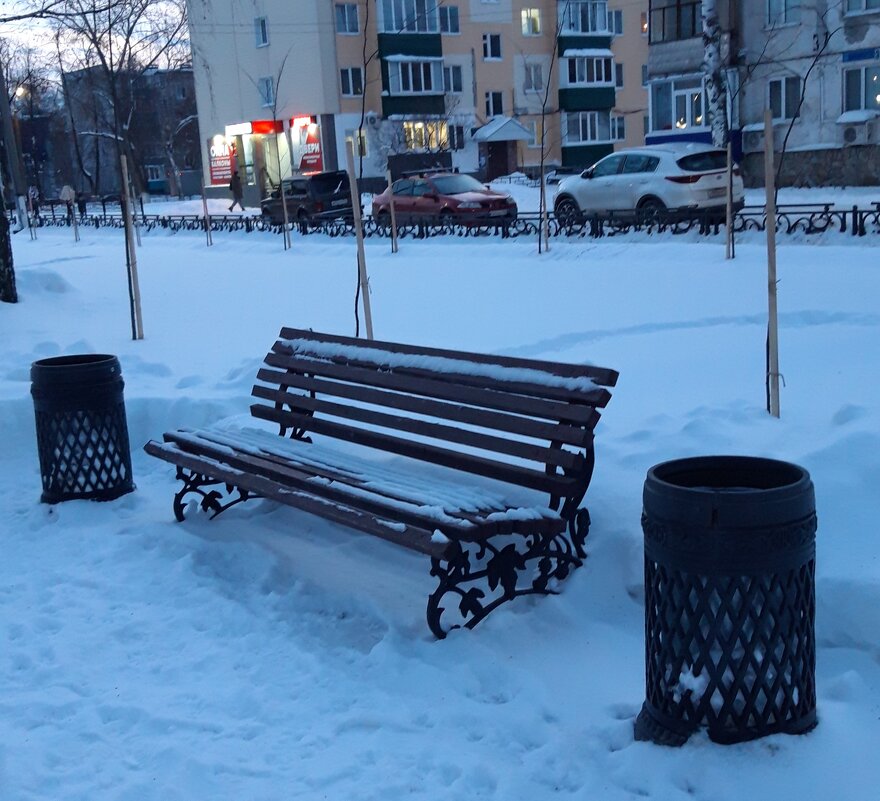 январь - Венера Чуйкова