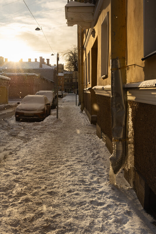 * - Светлана Воробьева