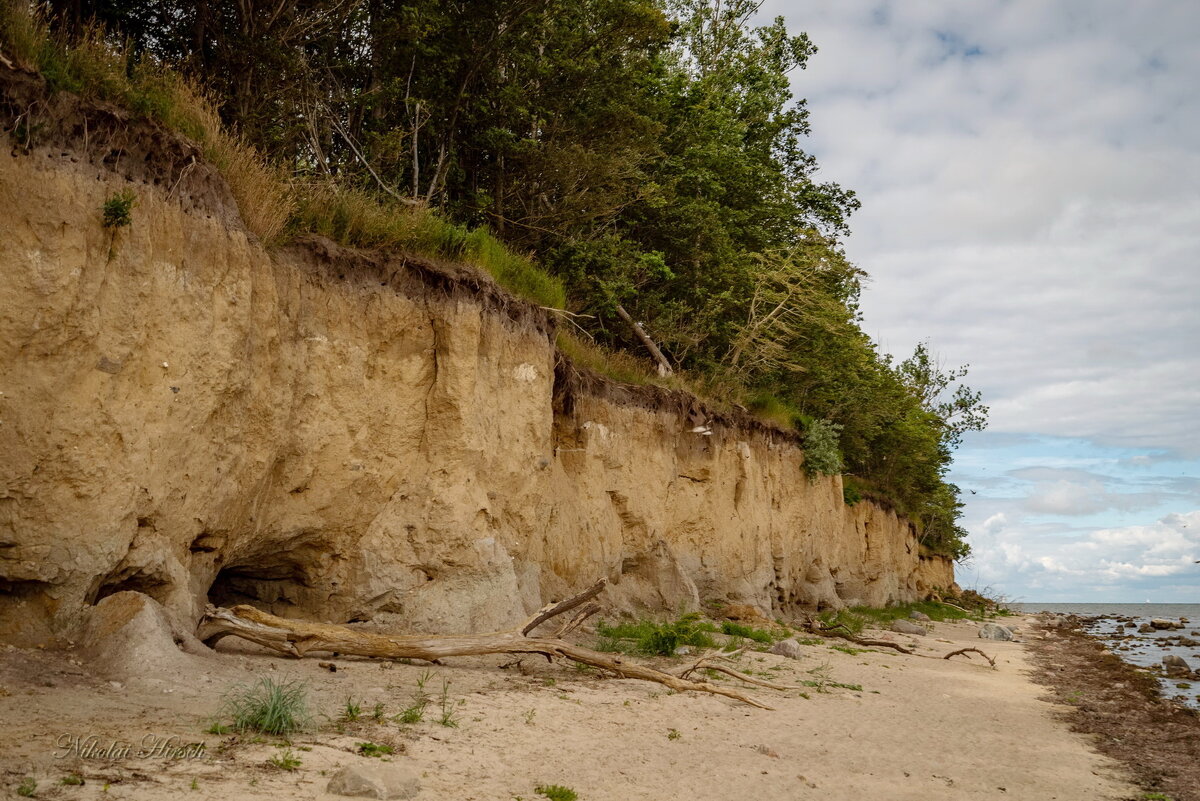 Балтийский берег... - Николай Гирш