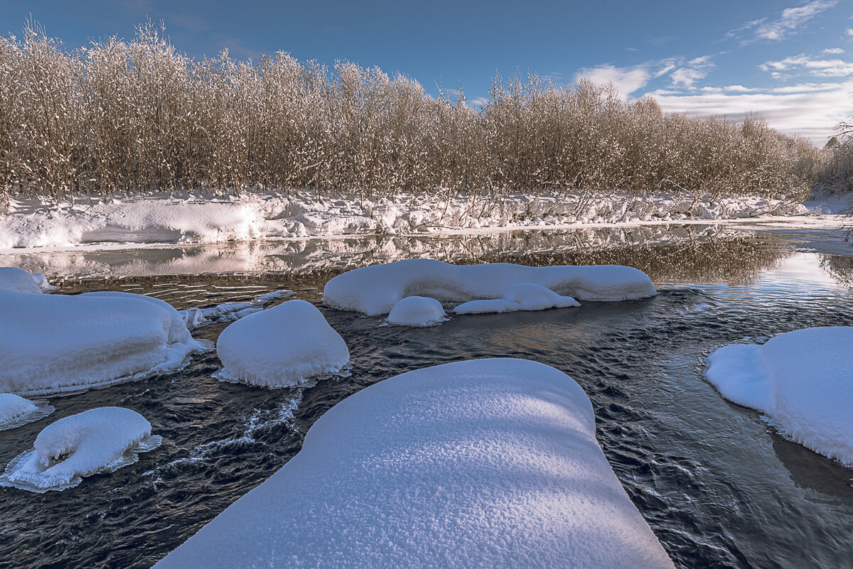 ... - Жора Житников