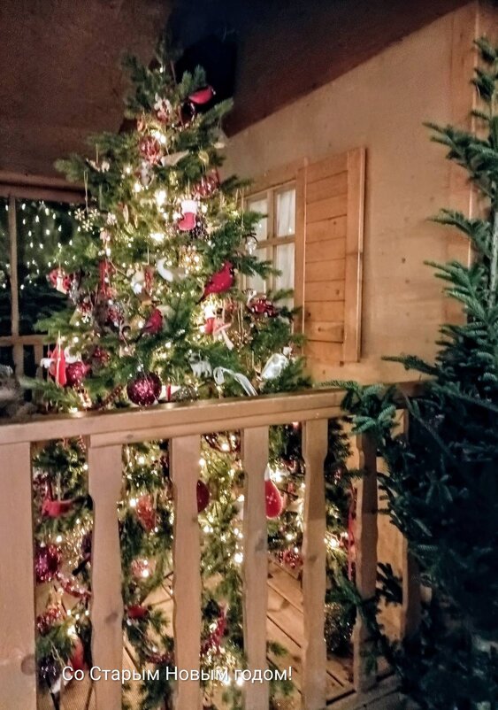 Со Старым Новым годом! - Veera V