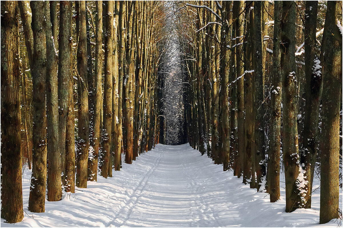 Веяние весны - Валентин Котляров