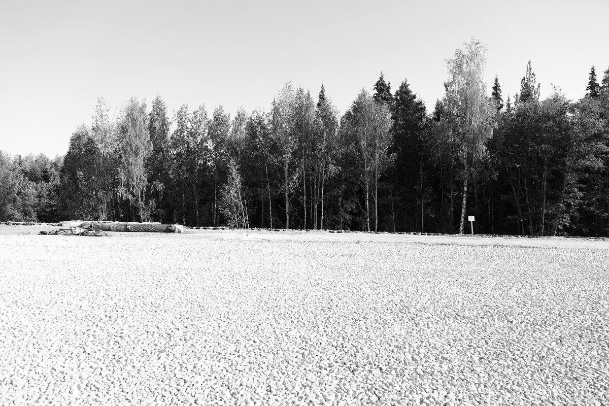 Фотография - Денис Безногов