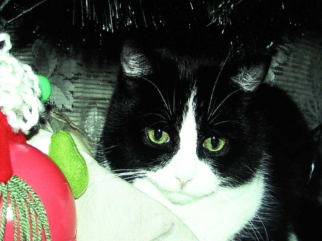 Хорошо под ёлочкой - Людмила Смородинская