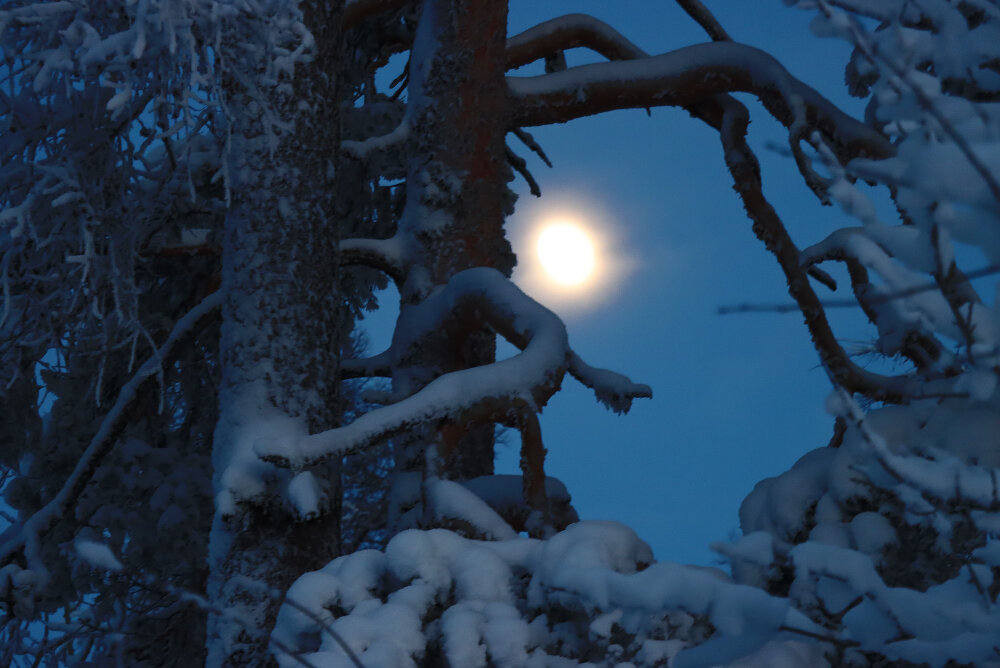 Лунная мелодия зимнего вечера - Галина Ильясова