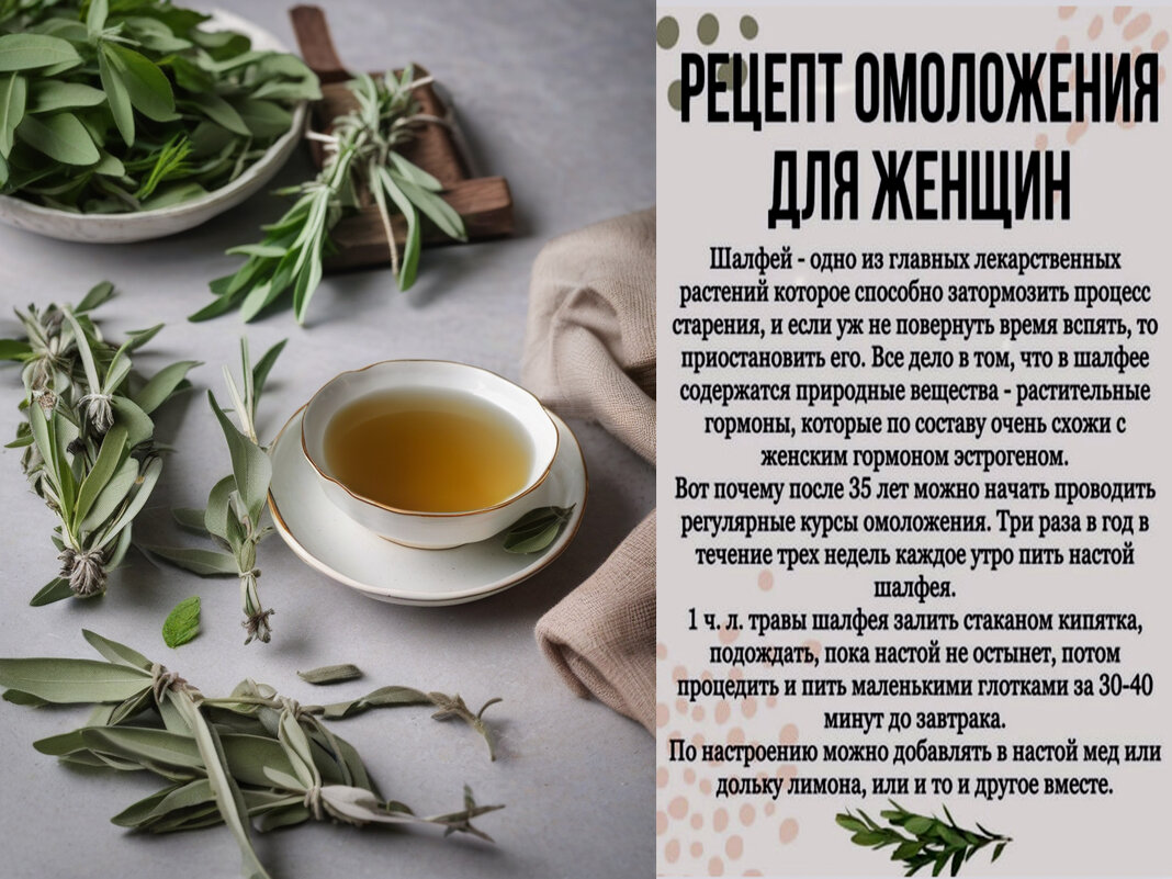 Шалфей лекарственный - Валерий Иванович