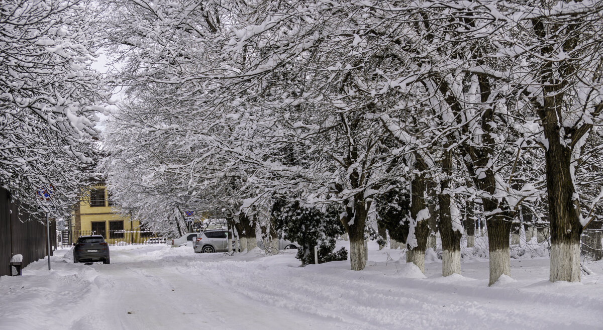 Люблю такие зимы - Игорь Сикорский