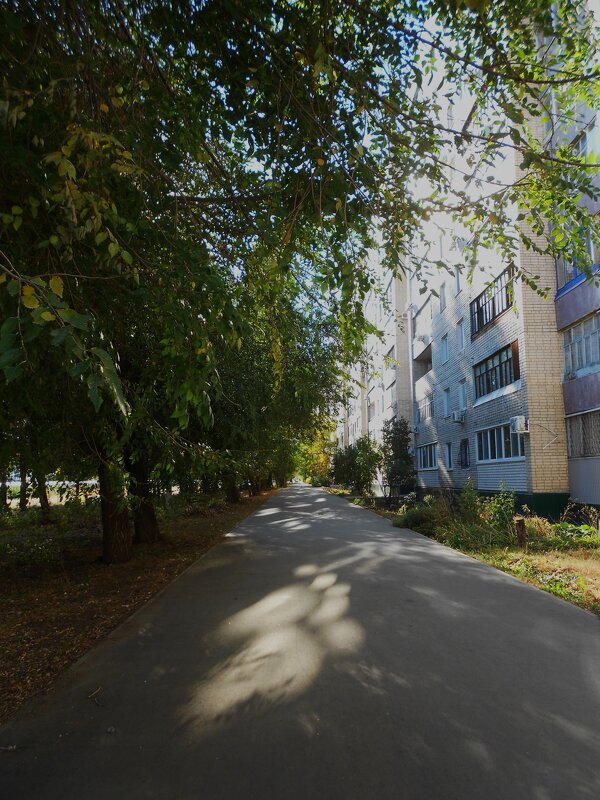 про лето - Елена Шаламова