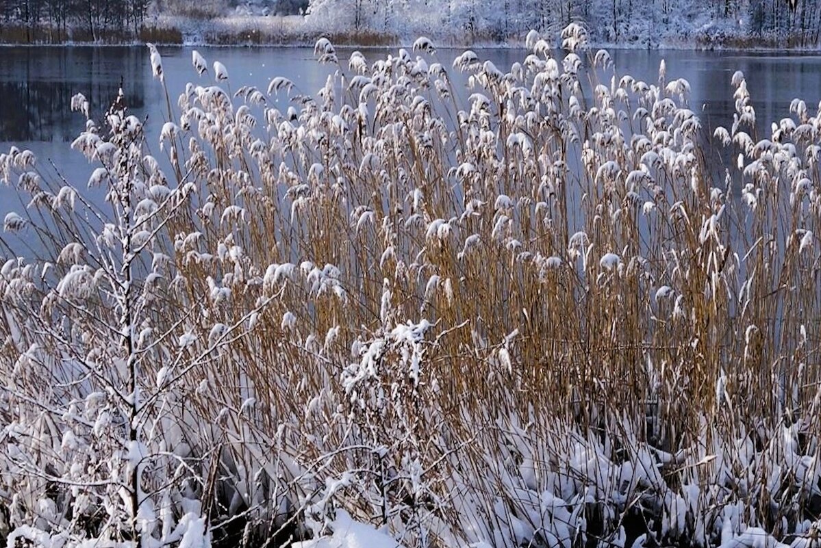 В окрестностях Калининграда - Рита Симонова