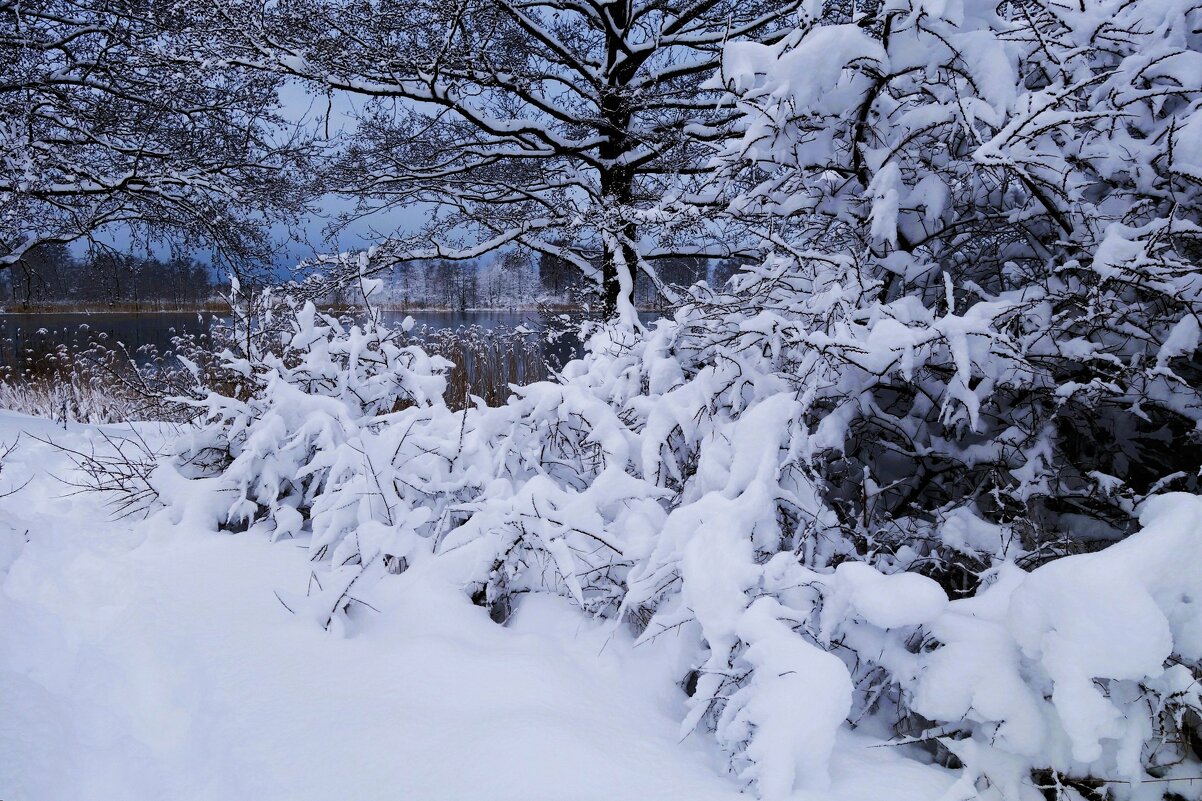 В окрестностях Калининграда - Рита Симонова