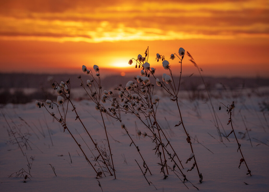 Закат в декабре. - Павел Крутенко