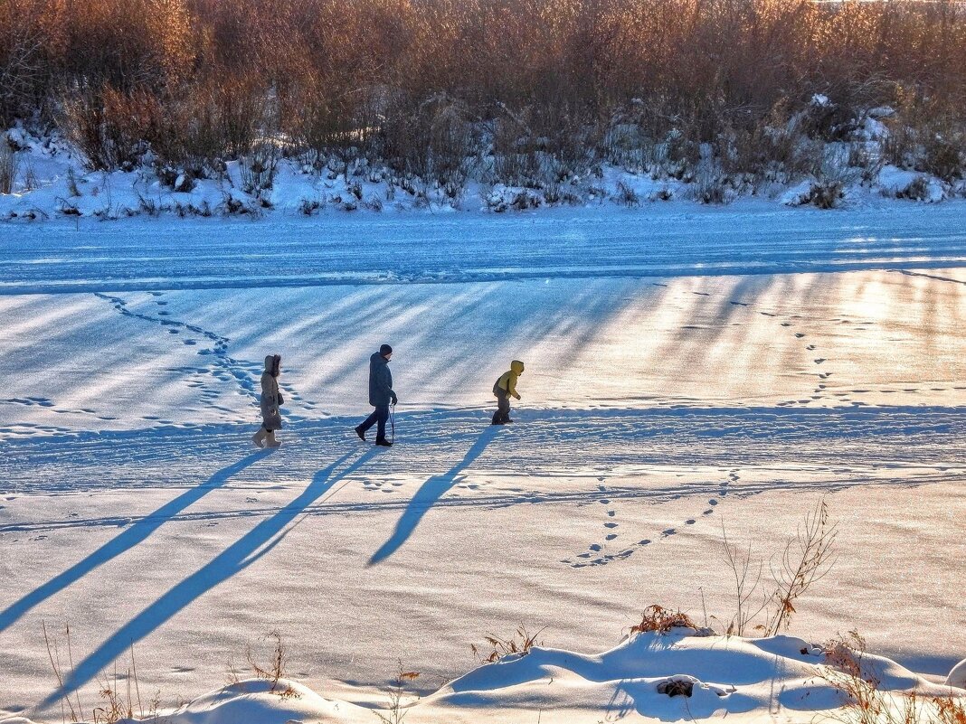 Семья на прогулке  :) - Елена Хайдукова  ( Elena Fly )