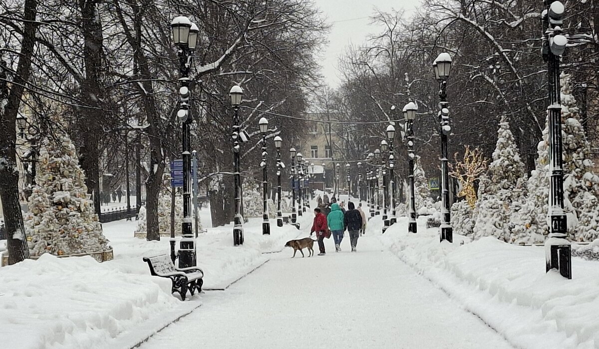 Петровский бульвар зимой - ИРЭН@ .