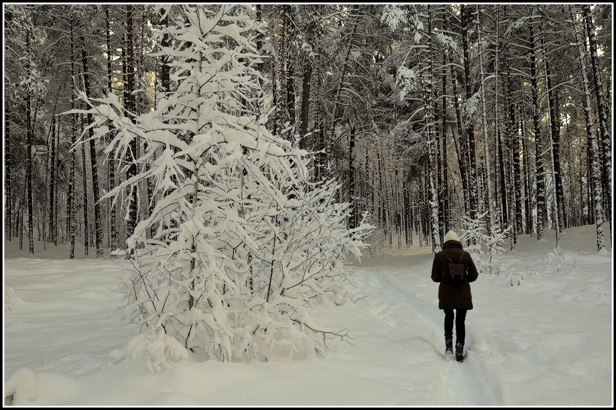 Зимняя идилия - Aleksandr Gal