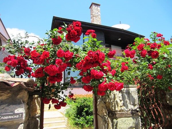 Нарядно - Натали 