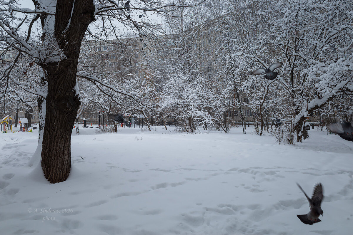 Снежный день - Александр Синдерёв