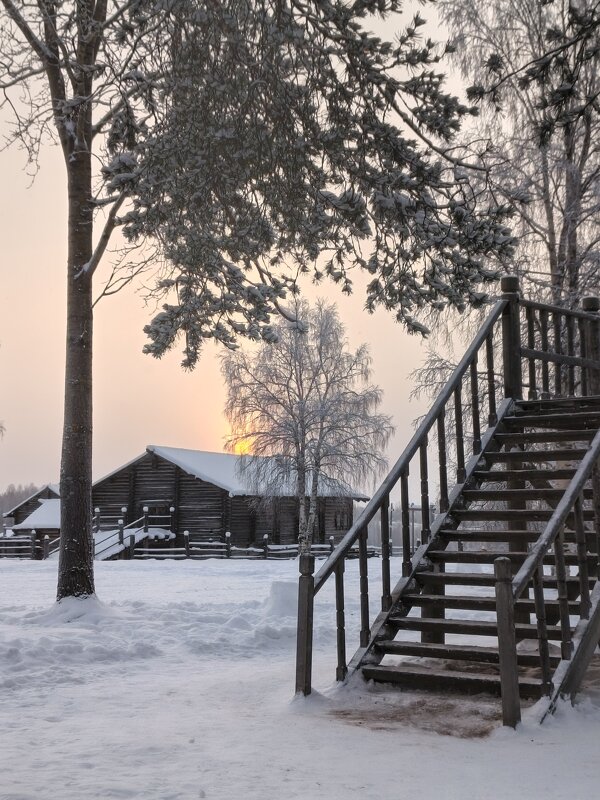 Скромное зимнее солнышко - Ольга Чистякова