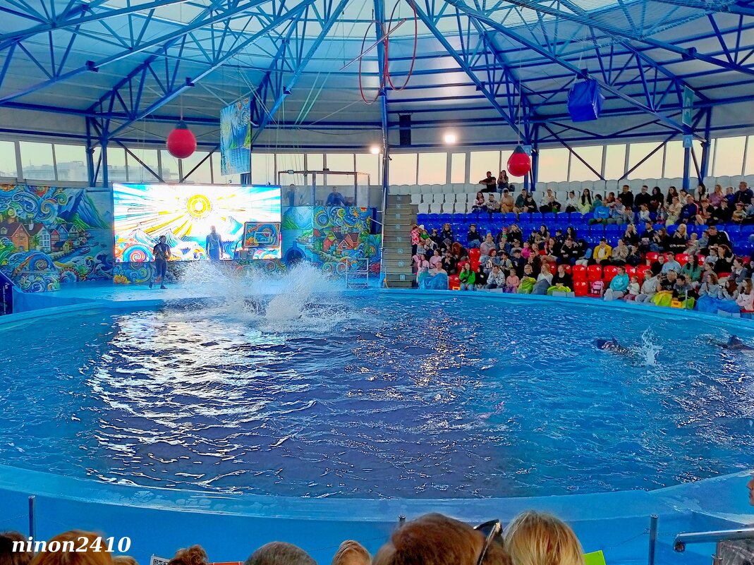 Адлер. Сочи Парк... шоу дельфинов... - Нина Бутко