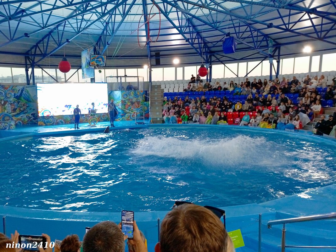Адлер. Сочи Парк... шоу дельфинов... - Нина Бутко