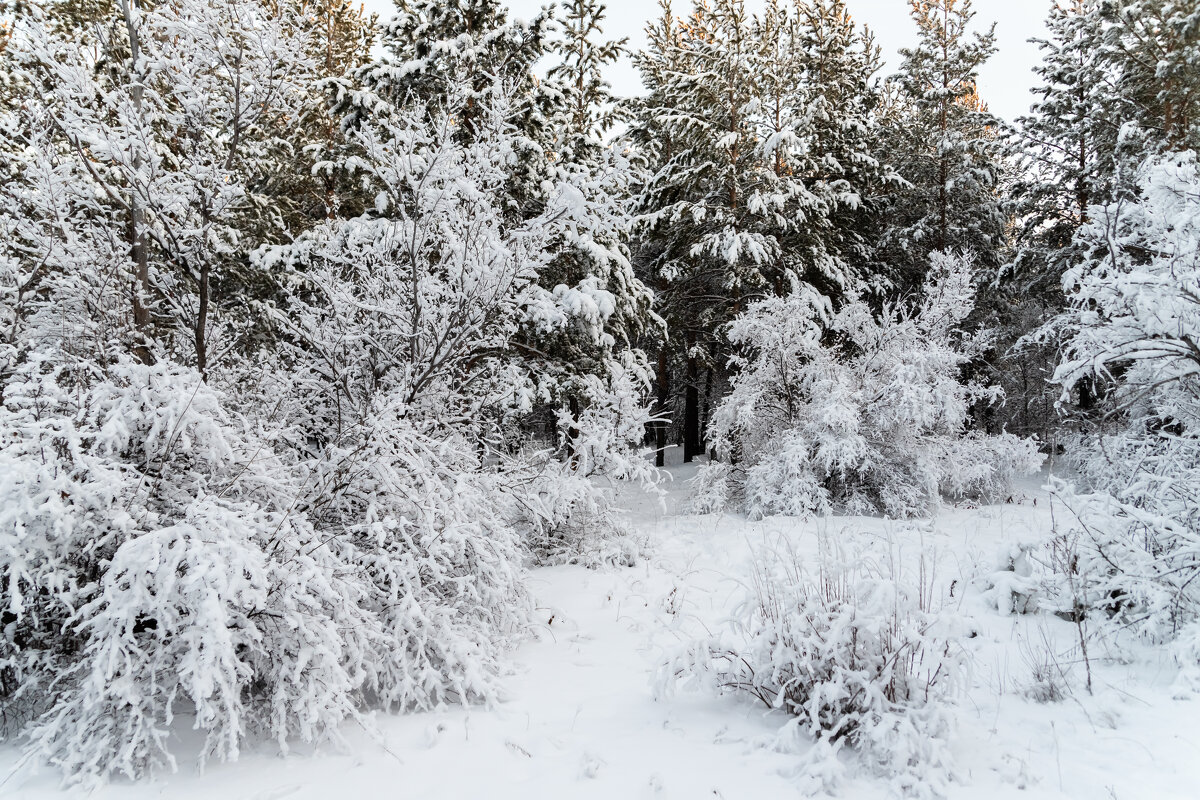 ... - Андрей Щукин