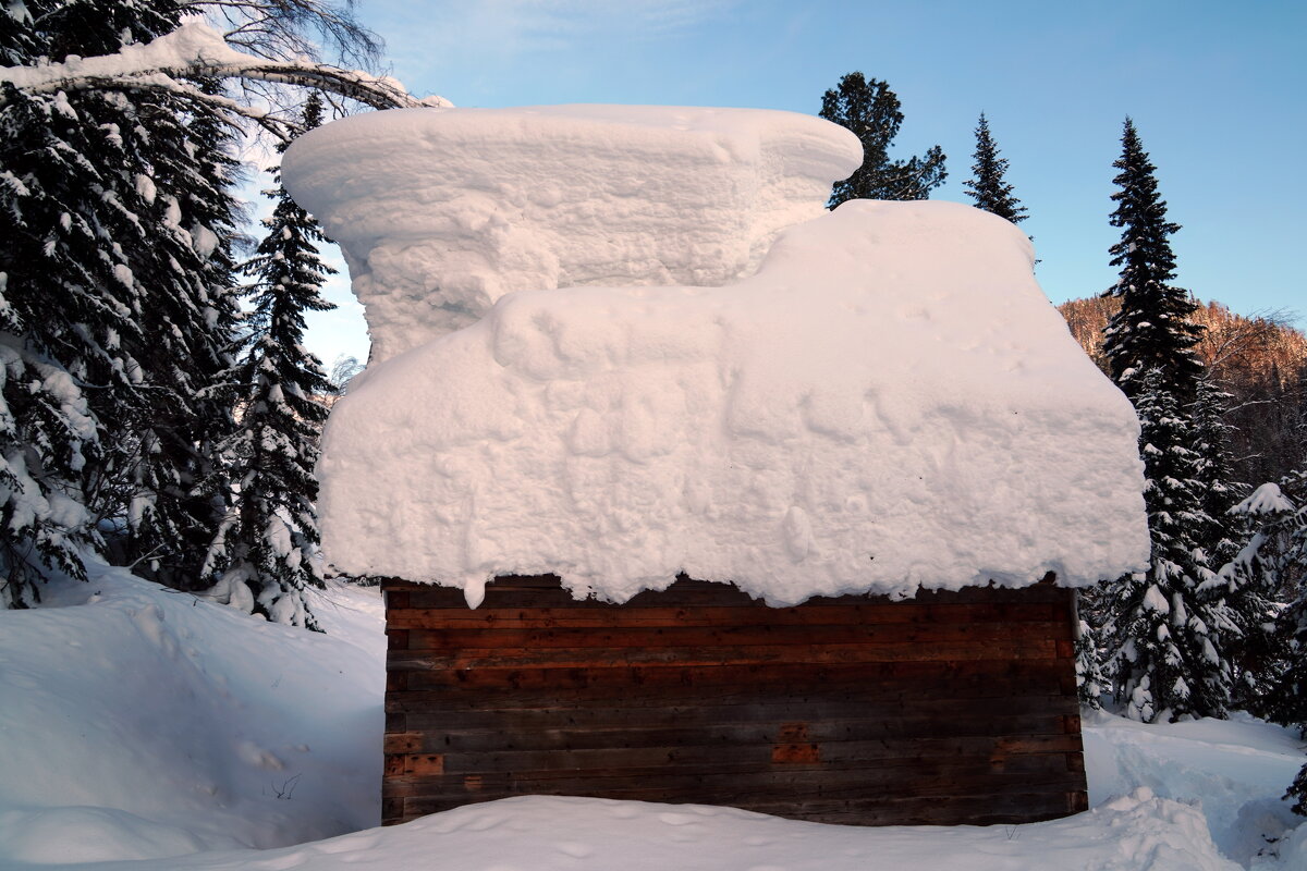 Зефир - Павел Трунцев