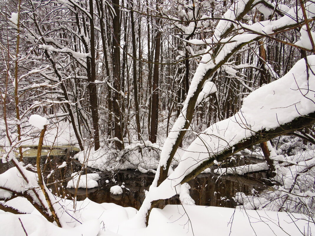 Не замёрзший участок реки - Андрей Снегерёв