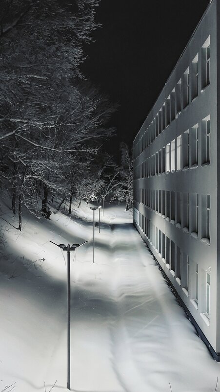 Тихая гармония снежной ночи - Сергей В